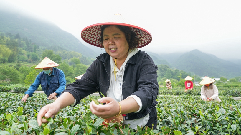 守“綠”換“金”！大別山區(qū)“兩山”實踐創(chuàng)新基地觀察