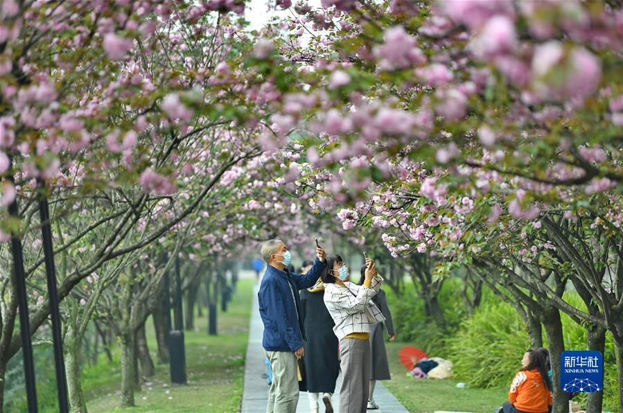 #（社會(huì)）（4）擁抱春天 樂享春光