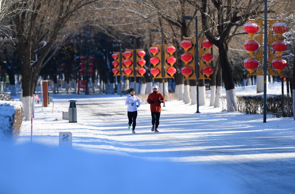 沈陽：瑞雪迎春