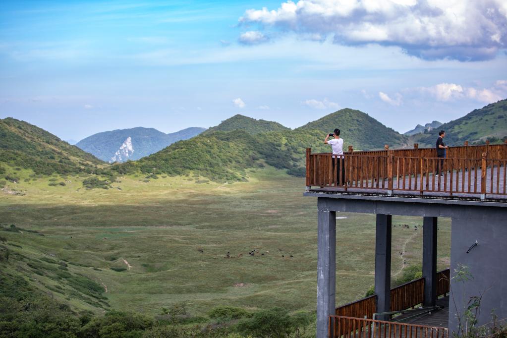 重慶巫溪：高山“避暑游”受青睞