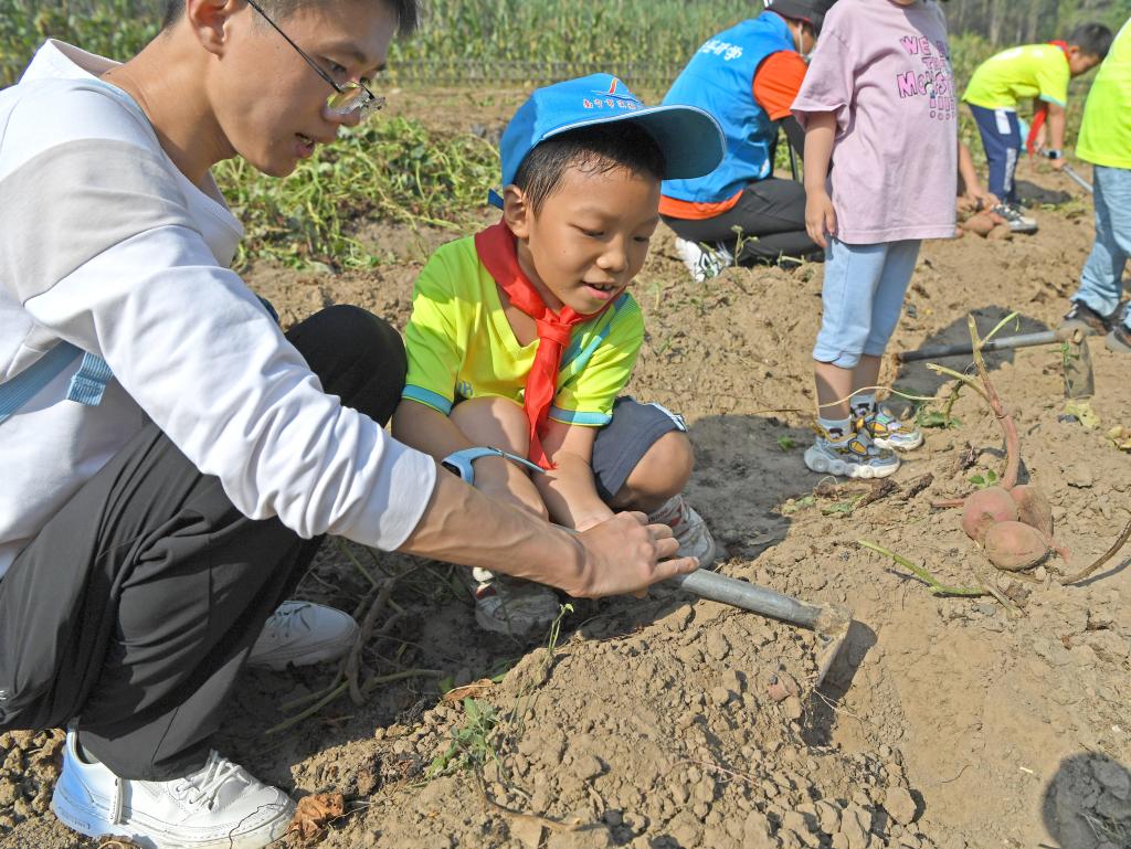 學(xué)習農(nóng)事 體驗豐收