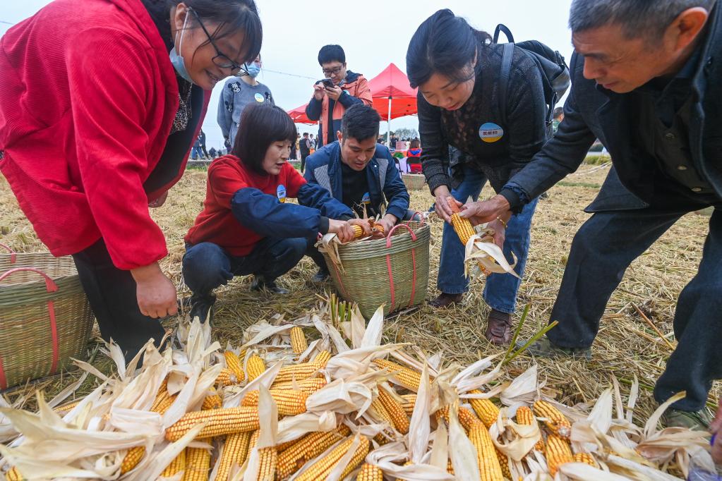 杭州瓶窯舉辦農(nóng)民豐收運(yùn)動(dòng)會