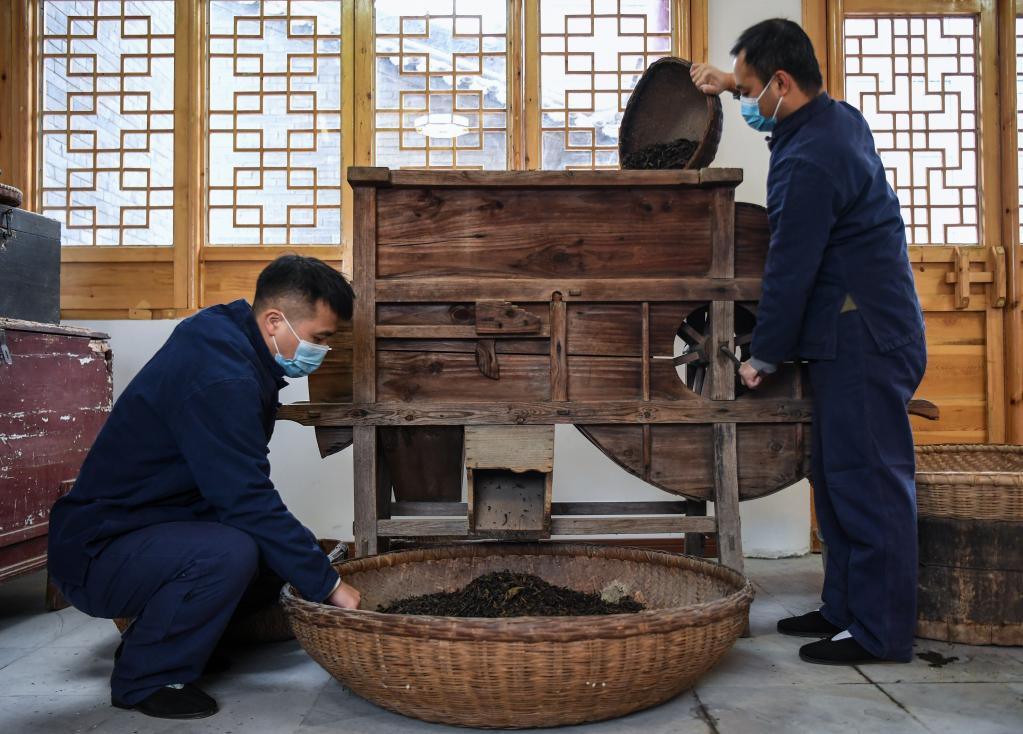 “絲路黑金”咸陽(yáng)茯茶誕生記