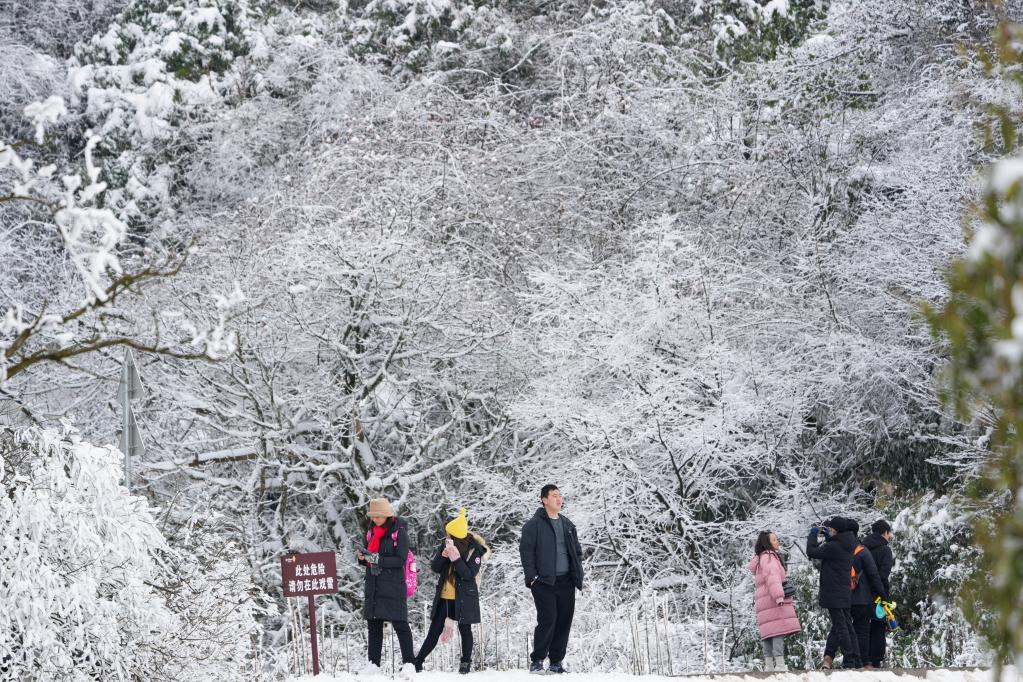 重慶：冰雪經(jīng)濟催動金佛山冬季旅游實現(xiàn)“開門紅”