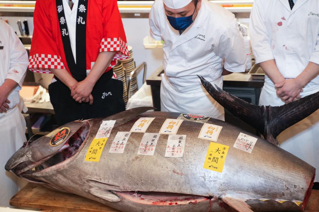 日本“大間金槍魚”連續(xù)11年贏得新年首拍最高價