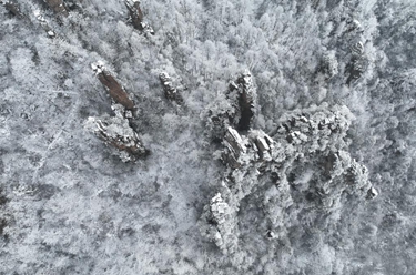 湖南張家界：俯瞰冰雪峰林