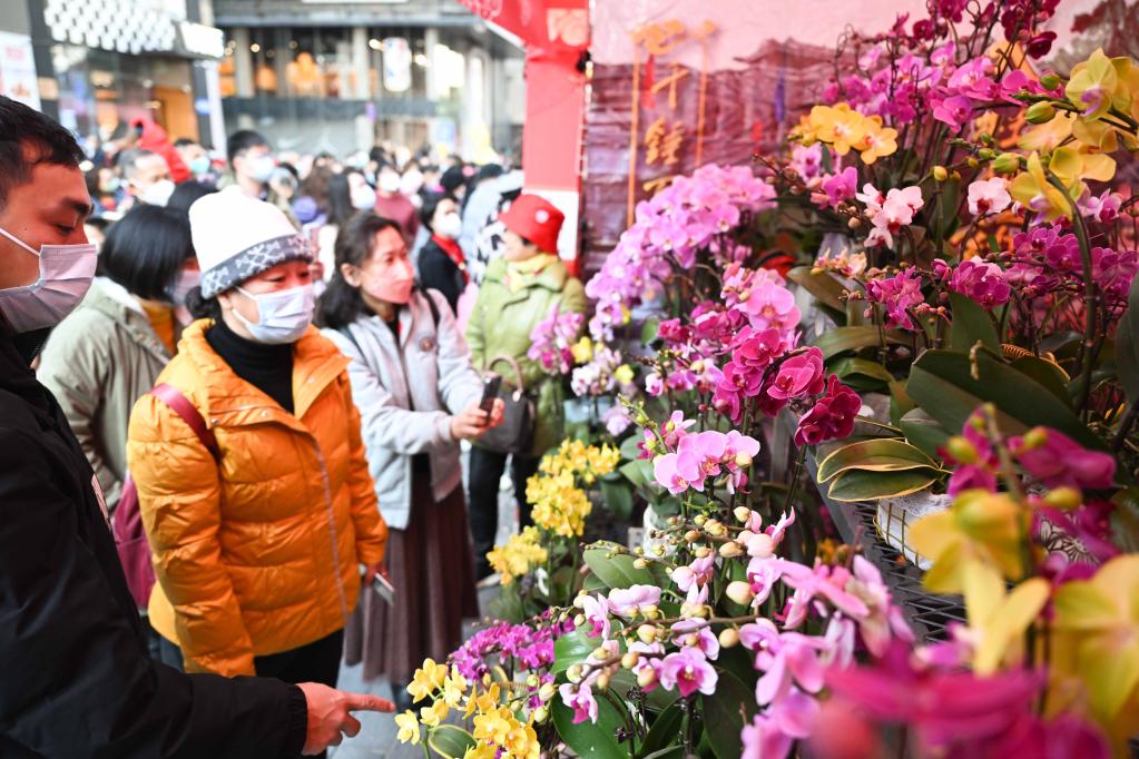 逛花市 迎新春