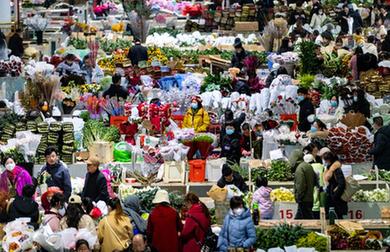 云南昆明：買(mǎi)鮮花 度佳節(jié)