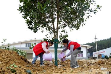 貴州：義務(wù)植樹(shù)為大地添綠