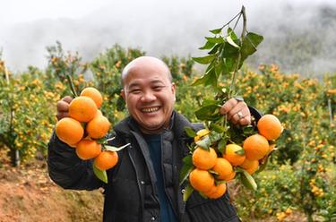 新春走基層｜高山果園興鄉(xiāng)村