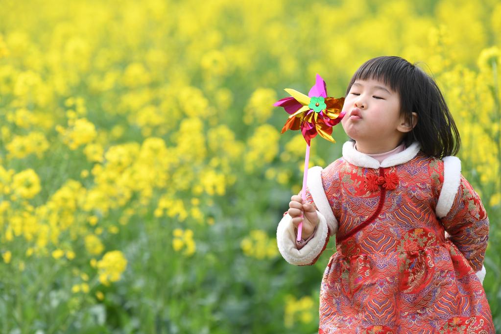 踏青賞花 樂享春光