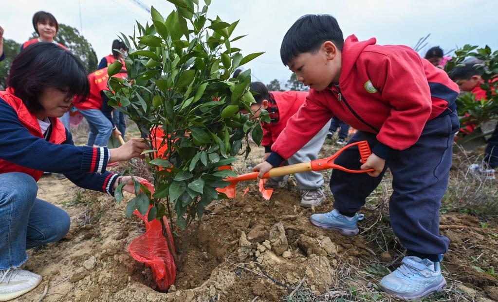 “植樹護(hù)綠”開啟春季校園勞動課