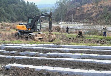 福建寨里：積極探索撂荒地治理新模式