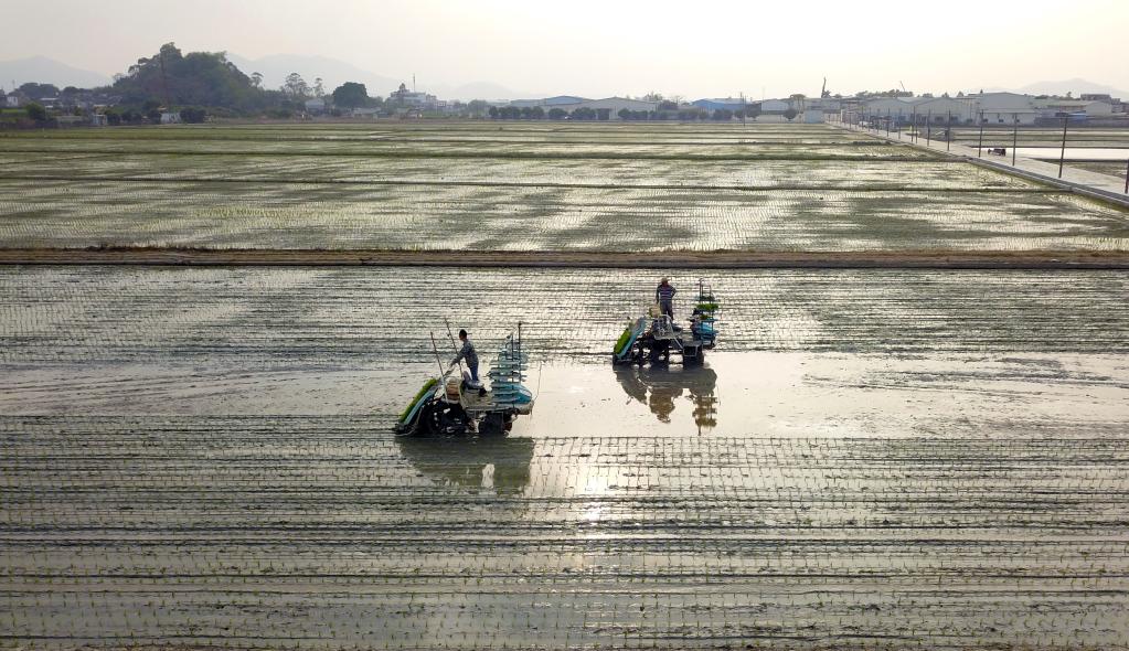 廣東江門：科技農機助力春耕生產(chǎn)