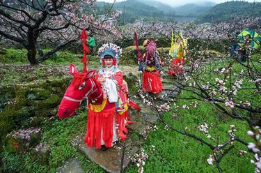 美麗山鄉(xiāng)千畝山花迎客來(lái)