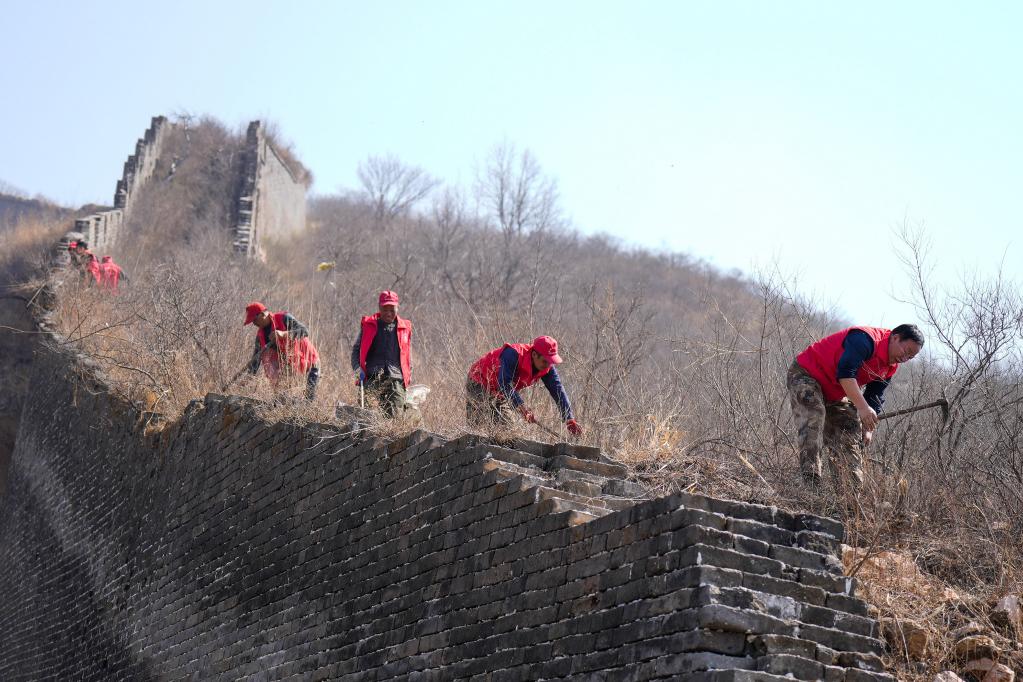 “長城保護(hù)小分隊(duì)”在行動(dòng)