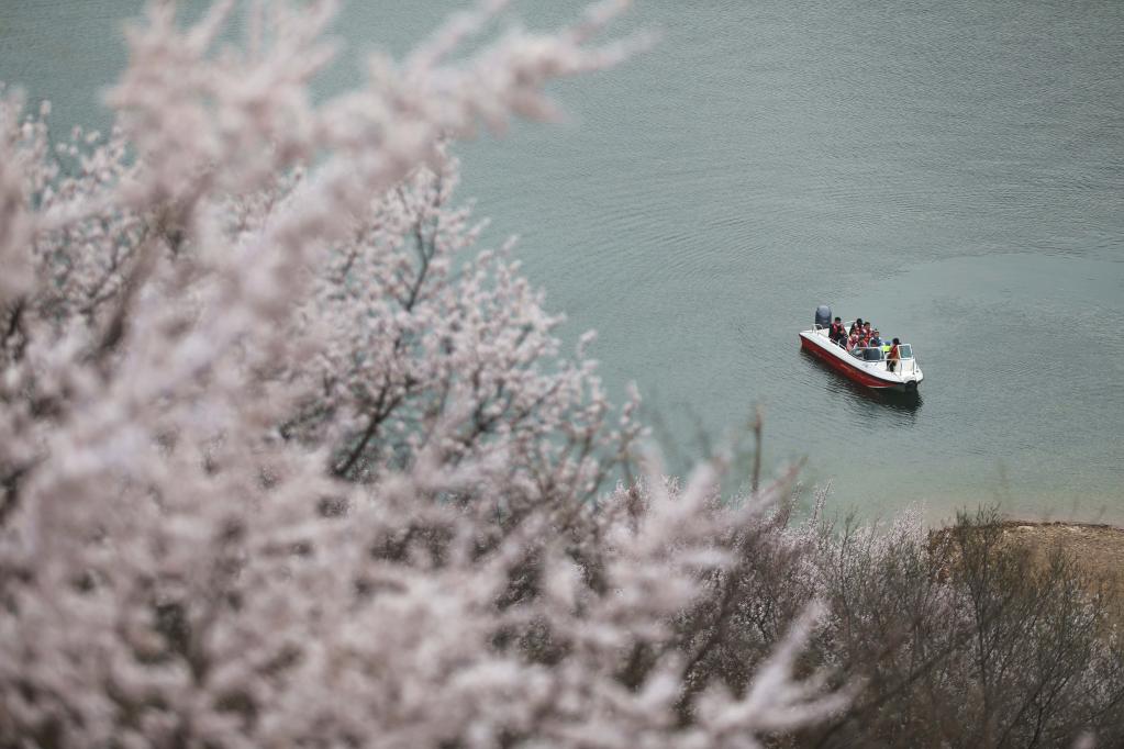 喜峰口長(zhǎng)城山花開(kāi)