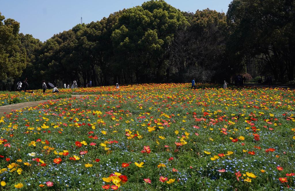 上海：賞百花 享春光