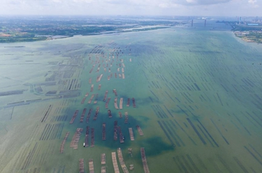 新華全媒+丨天空之眼瞰湛江：向海而興 向海圖強 向海“湛”放