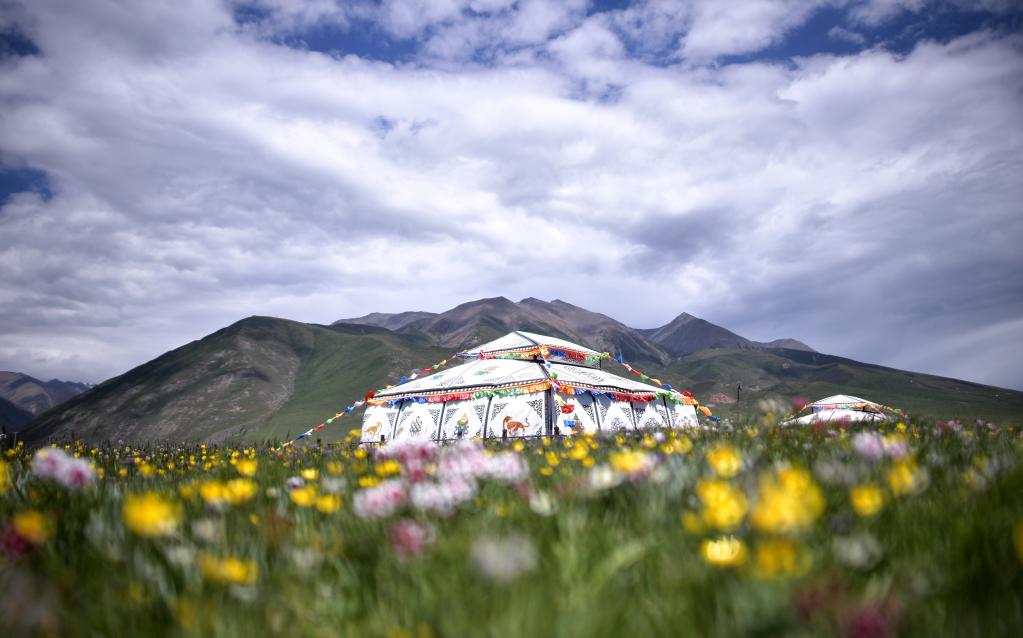 美麗中國丨祁連山之夏