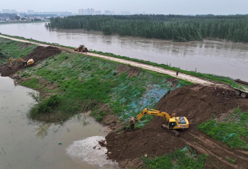 河北白溝：加固岸堤排險情