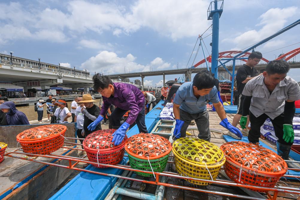 東海“小開(kāi)漁” 首批新鮮魚(yú)獲歸港