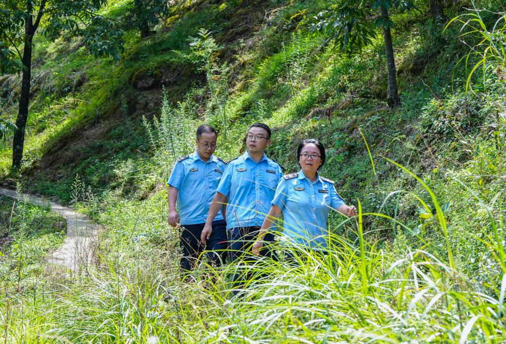 跨省聯防聯治推動清涼峰生態(tài)保護