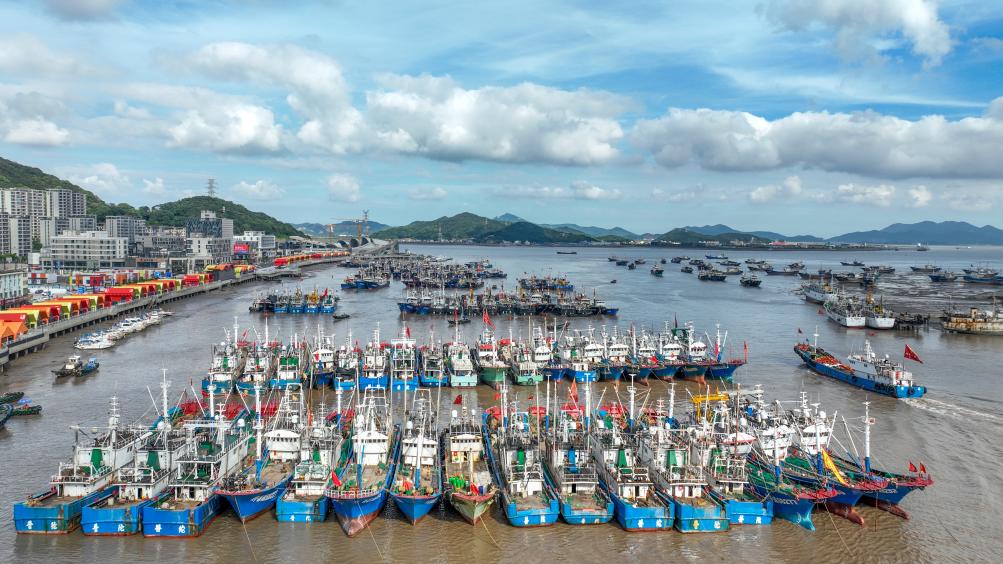 “海葵”逼近 浙江各地漁船回港避風