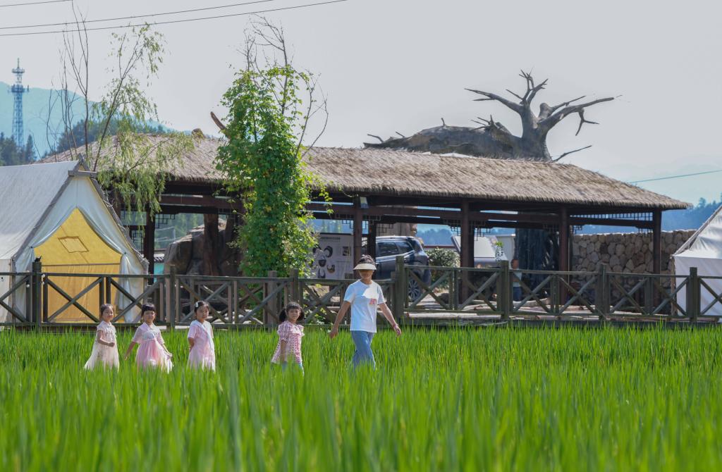 浙江臨安：打造村落景區(qū)助力國家級農業(yè)產業(yè)強鎮(zhèn)創(chuàng)建