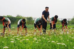 山東樂陵：多彩課程促成長