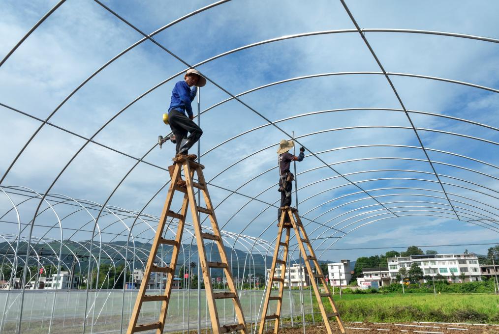 湖南常寧：智慧育苗大棚建設施工忙