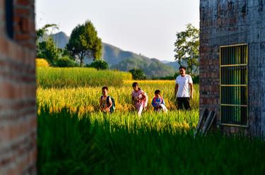 大山“微小學(xué)”的“守山人”