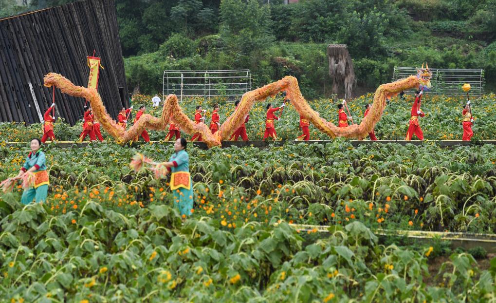 重慶舉辦豐收節(jié)慶祝活動 