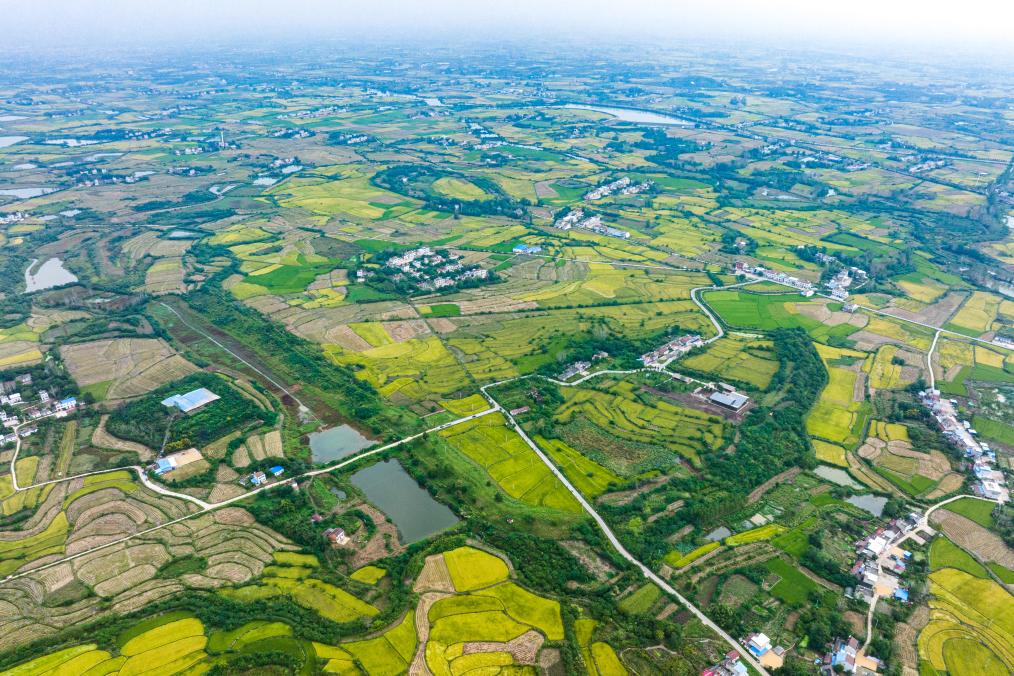 湖北天門石家河遺址考古工作有序進行