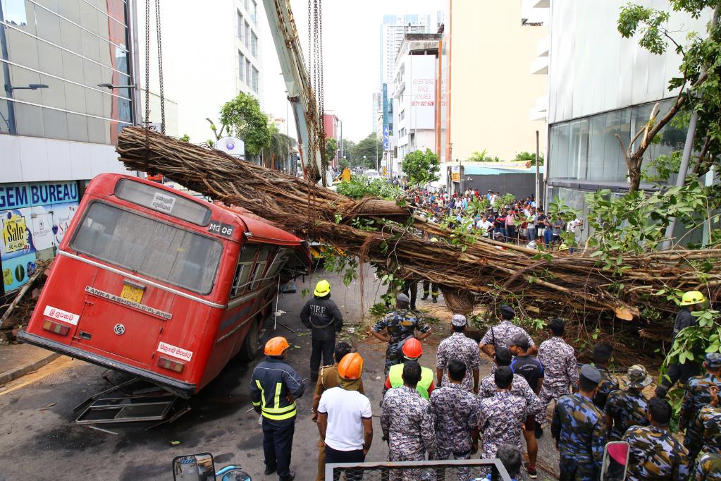 斯里蘭卡一公交車被大樹(shù)砸中5人死亡