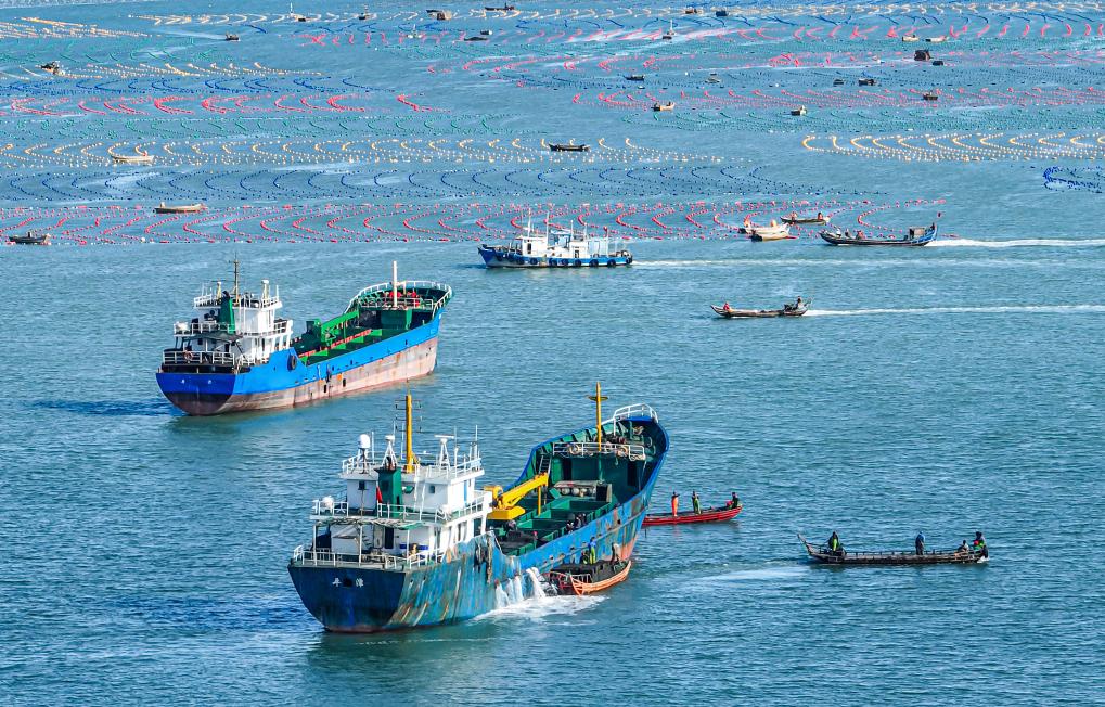 山東榮成：鮑魚“南下”開(kāi)啟越冬之旅