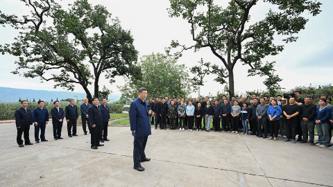 習近平：鄉(xiāng)村振興要靠產(chǎn)業(yè)，各地要各展其長