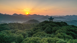 提升生態(tài)碳匯能力，植樹造林怎么干？