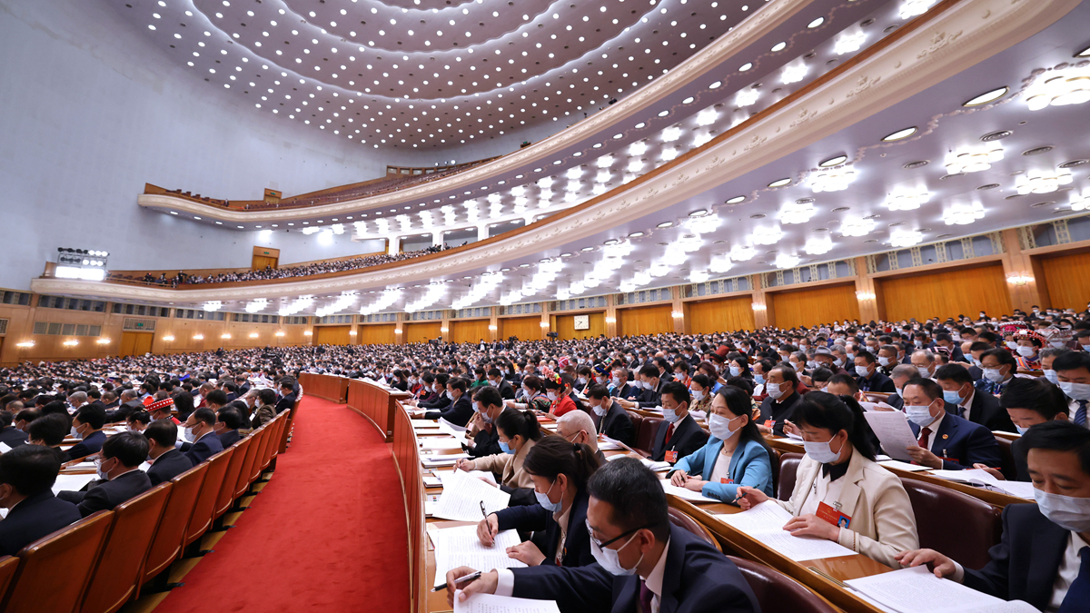 十三屆全國人大五次會議舉行第二次全體會議