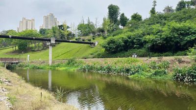 四川內(nèi)江：一滴污水的“再生之旅”